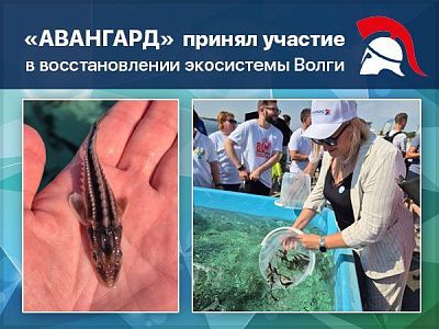 Охрана природы — в приоритете: «Авангард» участвует в экологических проектах Охрана природы — в приоритете: «Авангард» участвует в экологических проектах